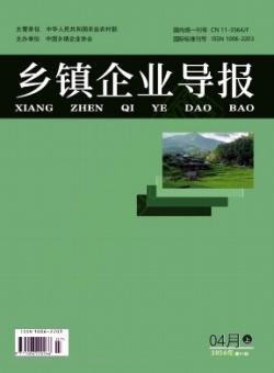 乡镇企业导报